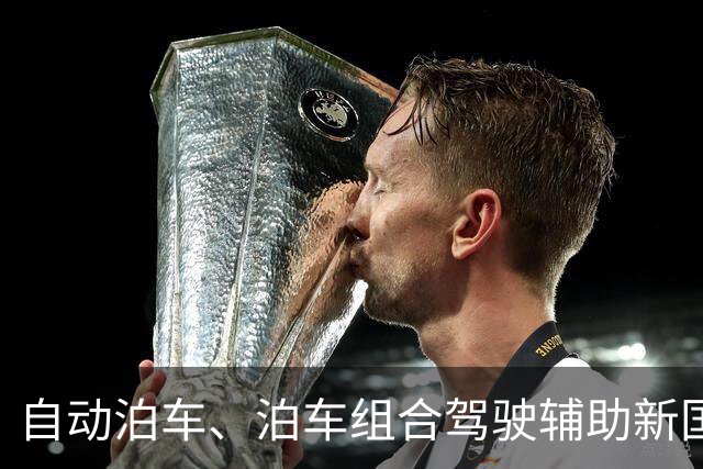 自动泊车、泊车组合驾驶辅助新国标将至，工信部征求意见稿明确各分级能力上限